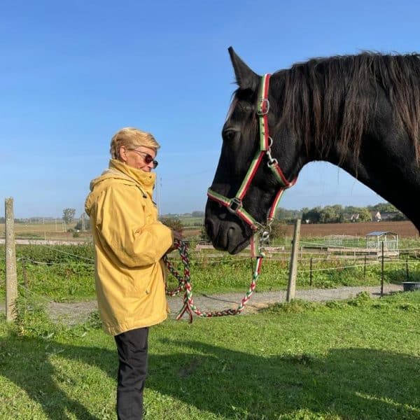 Personne tenant un cheval noir à la campagne.